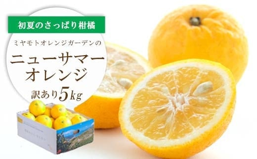 ＜2025年4月下旬頃出荷＞ワタまでおいしい ニューサマーオレンジ5kg(訳あり)＜C25-140＞【1268369】