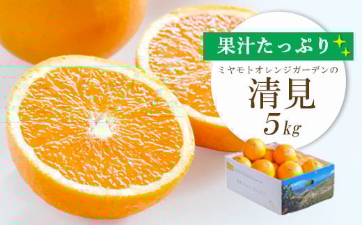 ＜2025年4月上旬出荷＞果汁たっぷり ジューシー清見5kg＜D25-126＞_ みかん ミカン 柑橘 フルーツ ふるーつ 果物 くだもの 青果 清見 きよみ 甘い ジューシー 愛媛 希少 産直 産地直送 【1268370】 1040852 - 愛媛県八幡浜市
