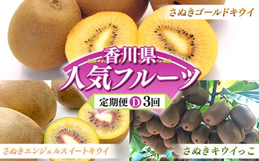 【人気フルーツ定期便D 3回】 さぬきゴールド さぬきエンジェルスイートキウイ さぬきキウイっこ 各約1kg キウイ 旬 フルーツ 果物 国産 香川県 F5J-885 1972561 - 香川県琴平町