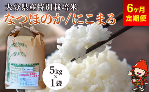 【6ヶ月定期便】令和6年産 特別栽培米 なつほのか にこまる 5kg×1袋 (毎月1回) 宗像農園 大分県中津市三光産 栽培期間中 農薬不使用 精米 玄米 選べる 国産 お米 米 ご飯 白米 農家直送 大分県産 九州産 中津市