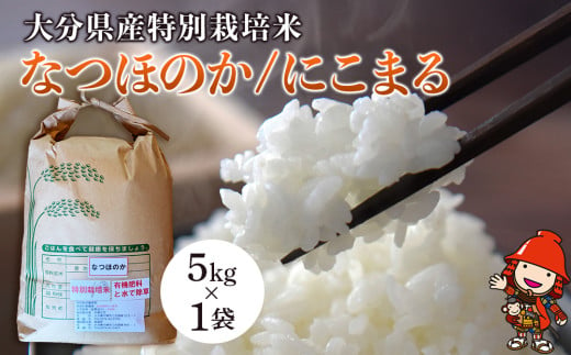 令和6年産 特別栽培米 なつほのか にこまる 5kg×1袋 宗像農園 大分県中津市三光産 栽培期間中 農薬不使用 精米 玄米 選べる 国産 お米 米 ご飯 白米 農家直送 大分県産 九州産 中津市