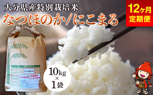 【12ヶ月定期便】令和6年産 特別栽培米 なつほのか にこまる 10kg×1袋 (毎月1回) 宗像農園 大分県中津市三光産 栽培期間中 農薬不使用 精米 玄米 選べる 国産 お米 米 ご飯 白米 農家直送 大分県産 九州産 中津市 1975190 - 大分県中津市