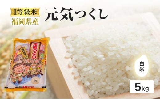 1等級米 米 1粒からこだわる 福岡県産米 元気つくし 白米 5kg お米 コメ 1966285 - 福岡県小郡市