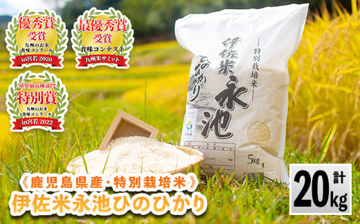B8-05 令和6年産 特別栽培米 永池ひのひかり(計20kg・5kg×4袋) ふるさと納税 伊佐市 特産品 鹿児島 永池 お米 米 白米 精米 伊佐米 九州米サミット 食味コンテスト 最優秀賞受賞 ヒノヒカリ【エコファーム永池】