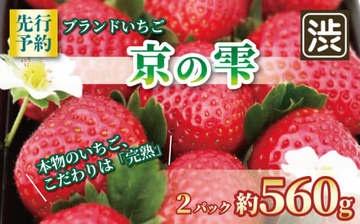 【先行予約】 いちご 京の雫 2パック 約560g イチゴ 苺 ストロベリー フルーツ くだもの 果物 ブランド デザート おやつ 甘い 糖度 産地直送 人気 おすすめ 京都 八幡 渋谷農園