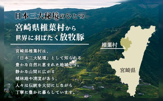 画像はイメージです