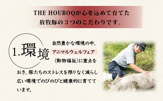 画像はイメージです