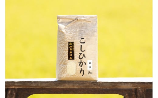 【頒布会】【令和7年産 新米予約】南魚沼産コシヒカリ(白米5kg×全3回)【令和7年11月上旬より順次発送予定】 445325 - 新潟県南魚沼市