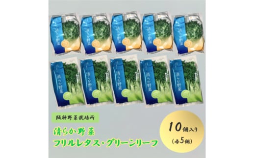 清らか野菜　フリルレタス・グリーンリーフ　10個入り(各5個)【1587981】 1967045 - 兵庫県尼崎市