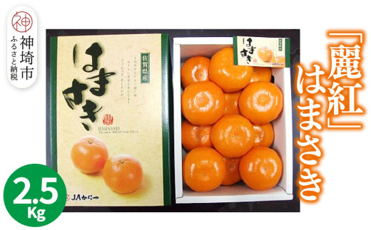 【2026年2月上旬より発送開始】【麗紅】はまさき 2.5kg【みかん 一級品 柑橘 フルーツ デザート】(H116144)