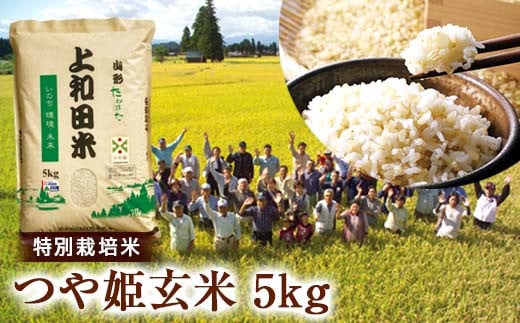 ≪2025年先行予約≫令和7年度産 山形県 高畠町産 特別栽培米 つや姫 玄米 5kg お米 ブランド米 米 ごはん ご飯 F21B-403