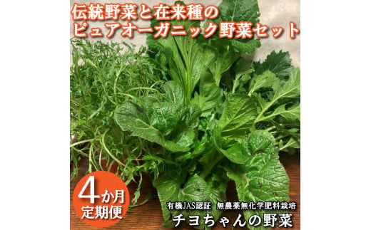 【季節限定】伝統野菜と在来種のピュアオーガニック野菜セット４か月定期便[1181] 1966888 - 兵庫県多可町