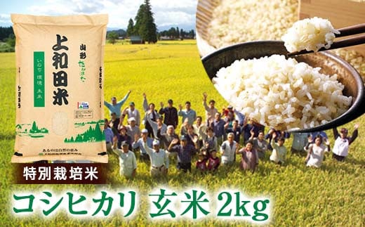 ≪2025年先行予約≫令和7年度産 山形県 高畠町産 特別栽培米 コシヒカリ 玄米 2kg お米 ブランド米 米 ごはん ご飯 F21B-406