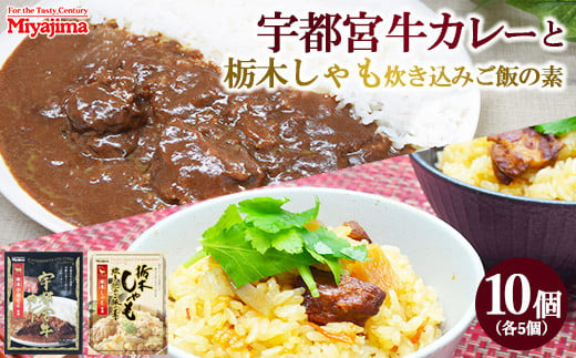 宇都宮牛カレー 200g×5個＋栃木しゃも炊き込みご飯の素 200g×5個セット 1966507 - 栃木県宇都宮市