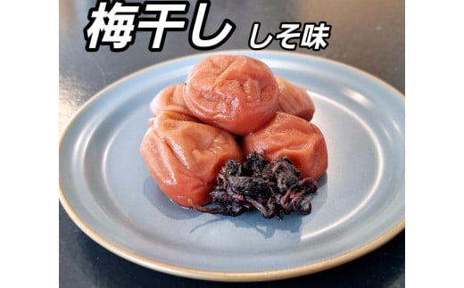 訳あり 梅干し 大粒 大玉 つぶれ梅 しそ梅 約500g × 6回 塩分10％ [ 定期便 2か月に１回発送・全6回 ] 1966566 - 和歌山県和歌山市