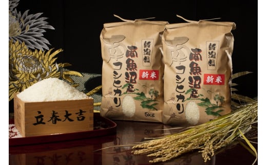 【頒布会】【令和7年産 新米予約】南魚沼塩沢産こしひかり(白米10kg×全3回)【令和7年11月上旬より順次発送予定】 445334 - 新潟県南魚沼市