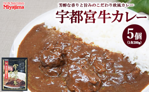 宇都宮牛カレー 200g×5個セット 1966510 - 栃木県宇都宮市