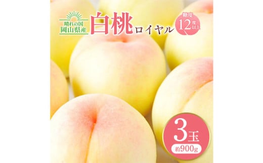 【先行予約】岡山白桃ロイヤル 3玉 計約900g 橋田商店有限会社《7月上旬-8月中旬頃出荷》 岡山県 浅口市 岡山県産 もも フルーツ 果物 くだもの 白桃 送料無料