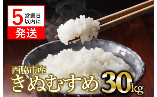 【きぬむすめ】令和６年産 新米 白米30kg（10kg×3袋）(65-8) 米 お米 こめ コメ きぬむすめ 人気 白米 兵庫県産 精米