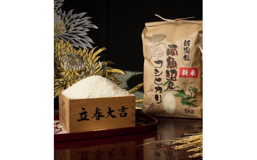 【頒布会】【令和7年産 新米予約】南魚沼塩沢産こしひかり(白米5kg×全6回)【令和7年11月上旬より順次発送予定】 443034 - 新潟県南魚沼市