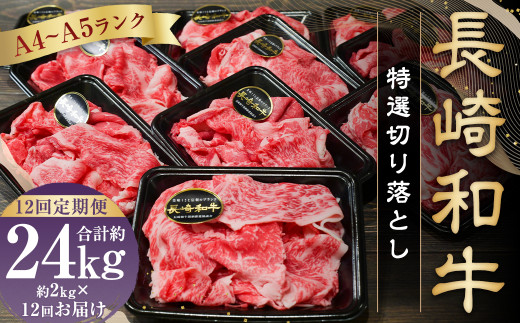 【全12回定期便】【A4～A5ランク】長崎和牛特選切り落とし 約2kg (200g×10パック) 牛肉 肉 牛 和牛 国産牛 国産 長崎和牛 すき焼き 焼肉 バーベキュー 小分け 冷凍 長崎