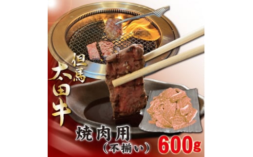 訳あり 但馬 太田牛 焼肉用(切り落とし) 600g OY1【1551652】