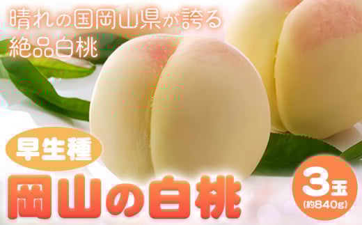 [令和7年度先行予約]岡山の白桃 早生種 3玉 約840g 晴れの国 おかやま館(つむぐ株式会社) [2025年6月下旬‐8月上旬頃出荷]岡山県 浅口市 フルーツ モモ 果物 青果 旬[配送不可地域あり](離島) st-p
