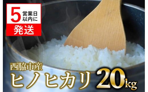 【ヒノヒカリ】令和６年産 新米 白米20kg（10kg×2袋）(44-47) 米 お米 こめ コメ ヒノヒカリ ひのひかり 人気 白米 兵庫県産 20kg 精米