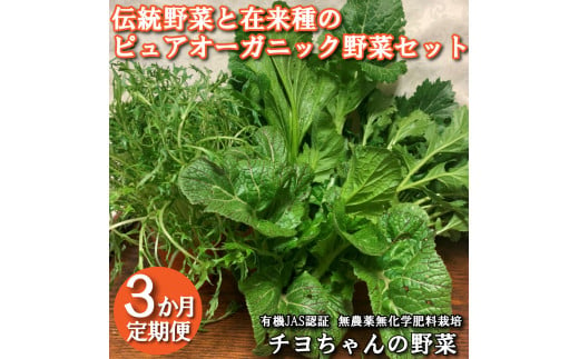 【季節限定】伝統野菜と在来種のピュアオーガニック野菜セット３か月定期便 [1182] 1966889 - 兵庫県多可町