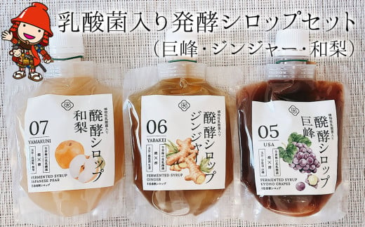 乳酸菌入り発酵シロップセット(巨峰・ジンジャー・和梨) 蛍茶園 手作り 乳酸菌発酵 農薬不使用 デザート 炭酸割り 温活 飲む発酵食品 ギフト プレゼント 大分県産 九州産 中津市 熨斗対応