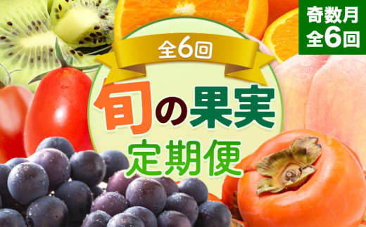 和歌山県の旬の果実を奇数月にお届け 全6回定期便 厳選館《1月上旬-11月末頃出荷》和歌山県 日高町 果物 フルーツ キウイ キウイフルーツ 清見オレンジ オレンジ アイコトマト トマト 桃 ニューピオーネ 富有柿 柿 送料無料【配送不可地域あり】