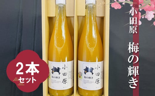 小田原 梅の輝き720ML瓶（梅ドリンク）2本セット【 飲み物 ドリンク 神奈川県 小田原市 】 2001742 - 神奈川県小田原市