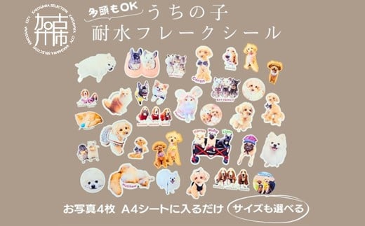 うちの子耐水フレークシール《 犬 猫 ペット シール フレークシール 耐水 オリジナル セミオーダー かわいい おすすめ 》【2400N13316】