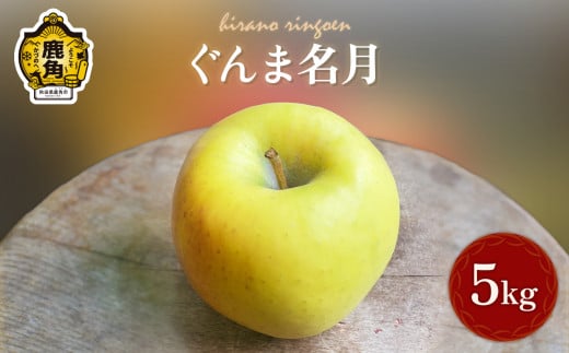 秋田県鹿角産 りんご 「 ぐんま名月 」 5kg ( 16～23玉 )【平野りんご園】 食感 果汁 林檎 完熟 蜜入り 旬 県産りんご お中元 お歳暮 贈り物 お見舞い グルメ ギフト 故郷 秋田 あきた 鹿角市 鹿角 送料無料 540989 - 秋田県鹿角市