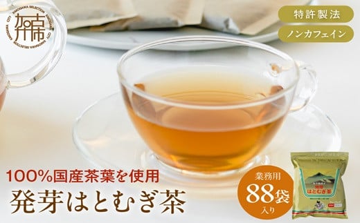 発芽はとむぎ茶 業務用《 ハトムギ茶 国産 はと麦茶 お茶 国産茶葉 ノンカフェイン 》【2400G15101】