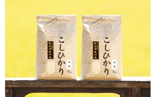 【頒布会】【令和7年産 新米予約】南魚沼産コシヒカリ(白米10kg×全6回)【令和7年11月上旬より順次発送予定】 443006 - 新潟県南魚沼市