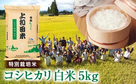 ≪2025年先行予約≫令和7年度産 山形県 高畠町産 特別栽培米 コシヒカリ 白米 5kg お米 ブランド米 米 ごはん ご飯 F21B-409