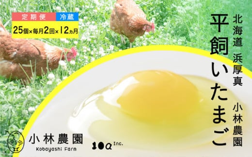 【月2回・全24回定期便】こだわりの無投薬･平飼い有精卵 25個《厚真町》【テンアール株式会社】 たまご 卵 鶏卵 玉子 生卵 平飼い 北海道 定期便 [AXAN028] 1919790 - 北海道厚真町