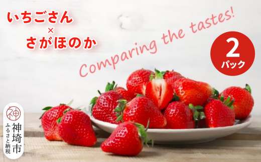 【2026年1月上旬より発送開始】いちご食べ比べ 2パック(いちごさん・さがほのか)【果物 くだもの フルーツ イチゴ 苺 佐賀】(H116135)