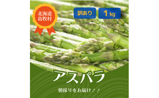 ＜訳あり＞2025年5月中旬より発送 朝採りアスパラ＜1kg＞北海道 露地栽培【1587135】