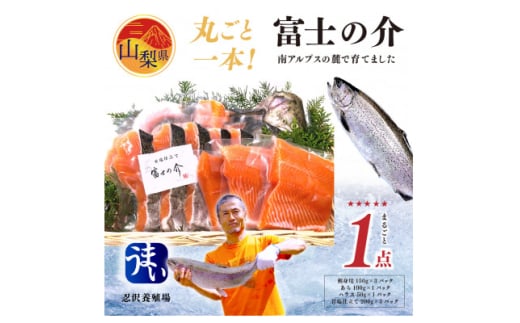 産地直送!南アルプスの麓で育てた「富士の介丸ごと一本セット」【1204441】 1207552 - 山梨県山梨県庁