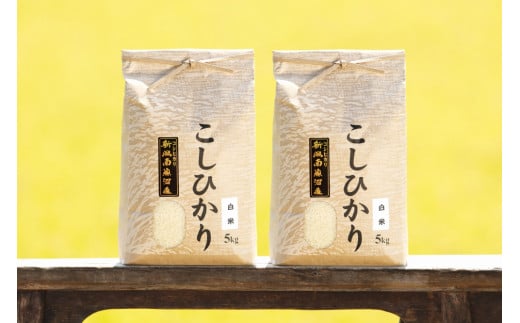 【頒布会】【令和7年産 新米予約】南魚沼産コシヒカリ(白米10kg×全3回)【令和7年11月上旬より順次発送予定】 445331 - 新潟県南魚沼市