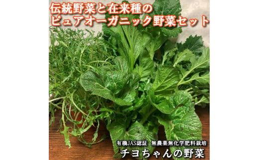 【季節限定】伝統野菜と在来種のピュアオーガニック野菜セット[1179] 1966887 - 兵庫県多可町