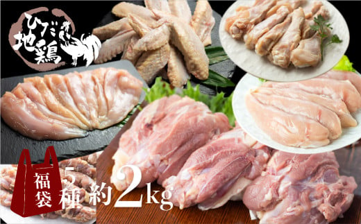 飛騨地鶏 お楽しみ福袋 合計2kg 鶏肉 小分け 福袋 飛騨地鶏 地鶏 モモ肉 手羽先 手羽元 ささみ 合計1.7kg 鶏肉 飛騨