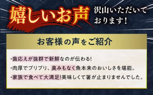 【配送月が選べる！】【 解凍するだけ 】平戸 の 新鮮 な 魚 刺身 3人前 約450g 詰め合わせ【百旬館】 