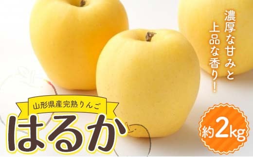 山形県産 厳選完熟りんご 『はるか』有袋栽培 秀品以上 約2kg化粧箱（5～10玉入り）《先行受付2025年度12月発送》 FSY-2183