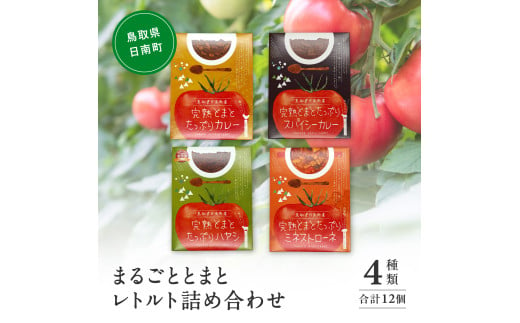 星降る里 まるごととまと レトルト詰め合わせ 4種類合計12個 鳥取県日南町 とまと トマト 野菜ジュース 日南トマト加工