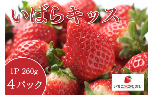 いちご いばらキッス 4p いちご家のむのむ イチゴ 苺 4パック 国産 果物 フルーツ くだもの 1月 2月 発送 冬 旬 産地直送 農家直送 産直 甘い デザート スイーツ 家庭用 贈答 贈答用 茨城 茨城県 石岡市 (A28-001) 1967001 - 茨城県石岡市