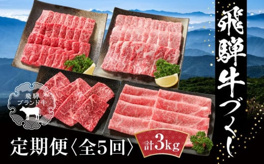 【定期便】飛騨牛 全５回（焼肉・すき焼き・ステーキ）計3kg | 焼肉 ステーキ カルビ 食べ比べ 牛 定期【飛騨高山ミート MZ100】 1233199 - 岐阜県高山市