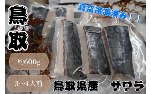 鳥取県産 サワラ６００g（３００g×２パック） 国産 サワラ 鰆 生食用 真空冷凍 1967210 - 鳥取県琴浦町